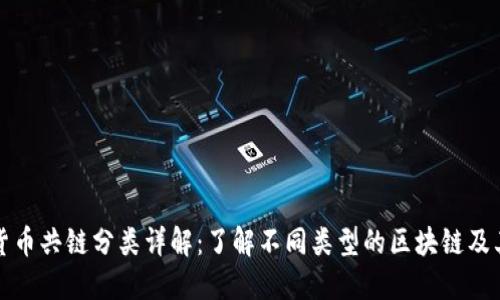 加密货币共链分类详解:了解不同类型的区块链及其应用