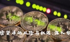 加密货币的风险与机遇：