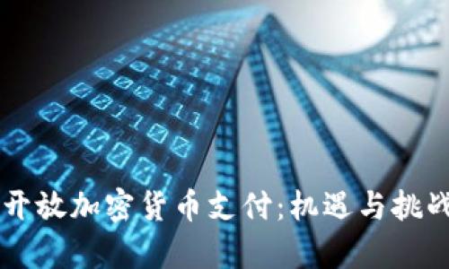 美国开放加密货币支付:机遇与挑战分析