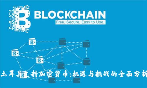 土耳其支持加密货币:机遇与挑战的全面分析