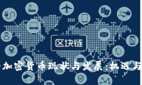 阿根廷的加密货币现状与发展:机遇与挑战分析