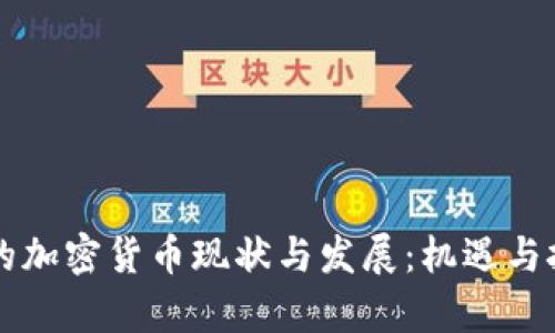 阿根廷的加密货币现状与发展:机遇与挑战分析