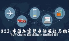 2023：中国加密货币的崛起