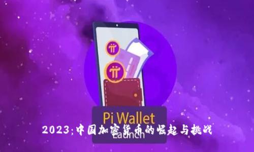 2023:中国加密货币的崛起与挑战
