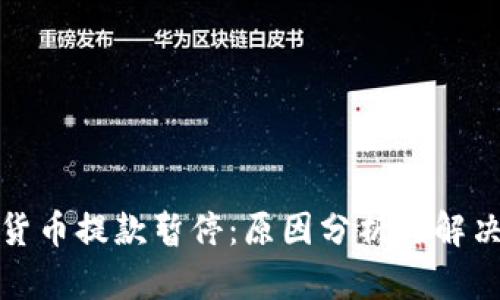 加密货币提款暂停:原因分析与解决方案