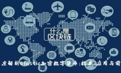 深度解析Elastic加密数字货