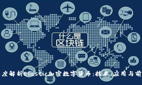 深度解析Elastic加密数字货币:技术、应用与前景