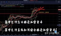 集中支付怎么接受加密货