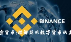 小鹿加密货币：理解新兴