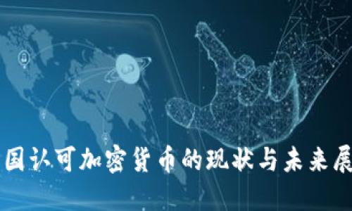 美国认可加密货币的现状与未来展望