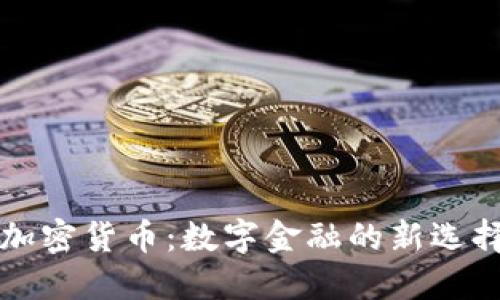 大通宝数字加密货币:数字金融的新选择与未来发展