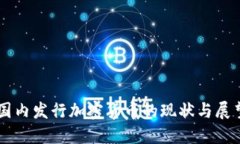 国内发行加密货币的现状