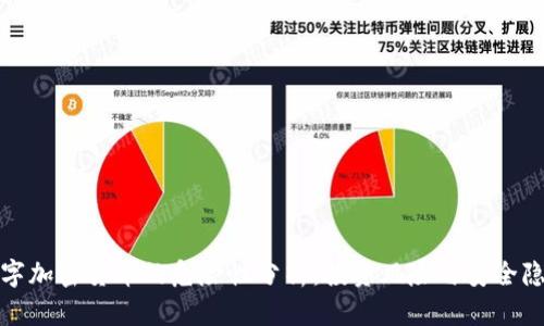 数字加密货币的危险性分析:投资风险与安全隐患