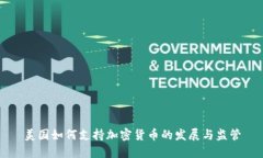美国如何支持加密货币的