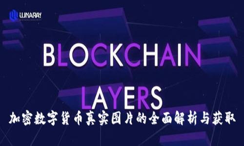 加密数字货币真实图片的全面解析与获取