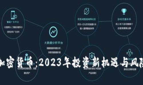 一血加密货币:2023年投资新机遇与风险分析