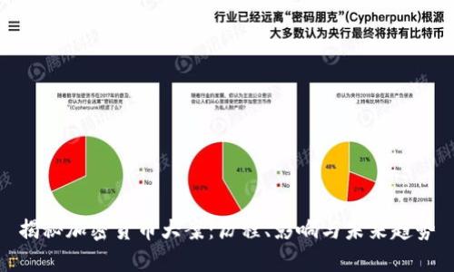揭秘加密货币大案：历程、影响与未来趋势