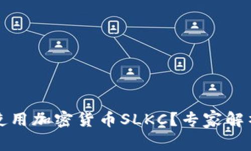 如何投资和使用加密货币SLKC?专家解析与深入剖析