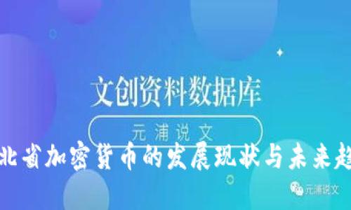 湖北省加密货币的发展现状与未来趋势