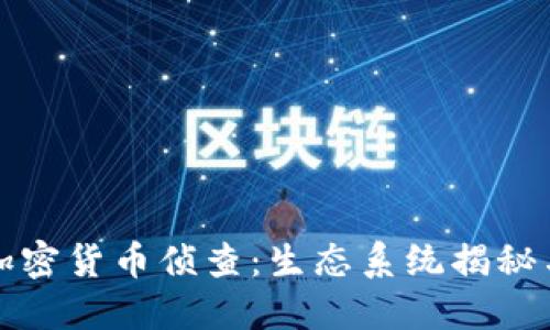 深入了解加密货币侦查:生态系统揭秘与安全策略