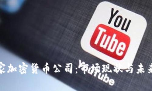 817家加密货币公司:市场现状与未来展望