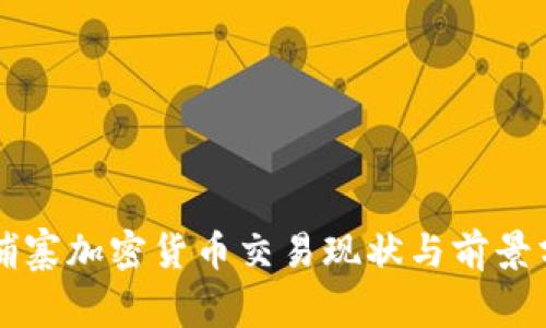 柬埔寨加密货币交易现状与前景分析