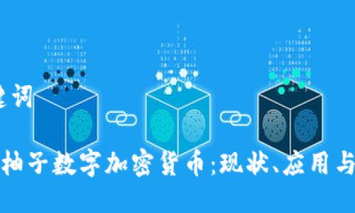 思考、关键词
深入探讨柚子数字加密货币:现状、应用与未来趋势