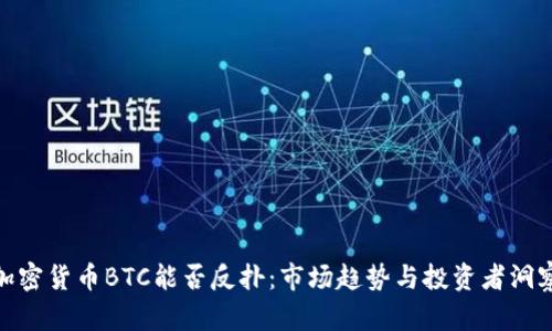 加密货币BTC能否反扑:市场趋势与投资者洞察