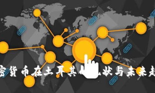 加密货币在土耳其的现状与未来趋势
