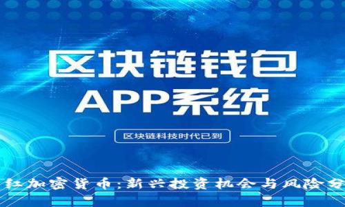 网红加密货币:新兴投资机会与风险分析