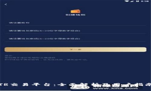 TR交易平台:全面解析及用户指南
