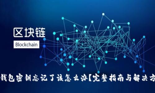TP钱包密钥忘记了该怎么办？完整指南与解决方案