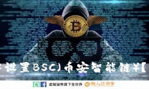 如何在TP钱包中设置BSC（币安智能链）？详细步骤与技巧