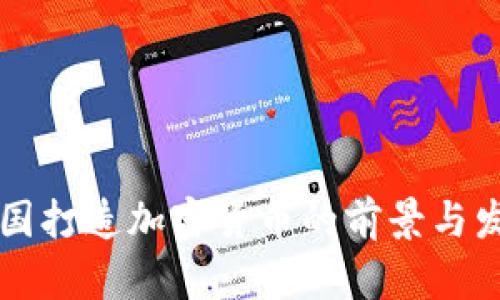 中国打造加密货币的前景与发展