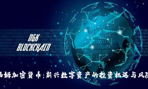 汤姆加密货币：新兴数字资产的投资机遇与风险