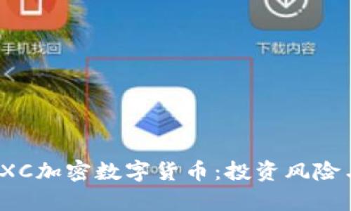 全面解析TXC加密数字货币：投资风险与未来前景