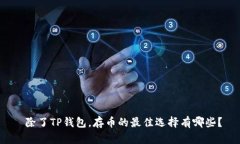  除了TP钱包，存币的最佳