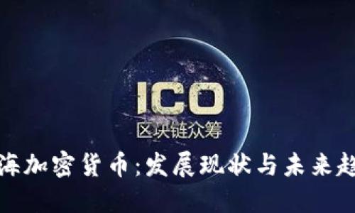 珠海加密货币：发展现状与未来趋势
