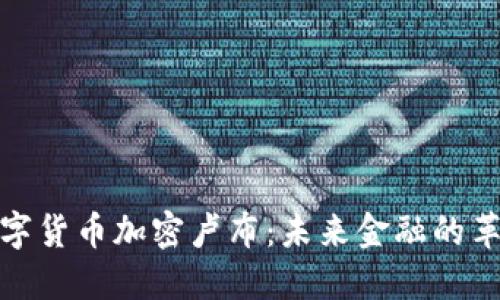 俄罗斯数字货币加密卢布：未来金融的革命性转折