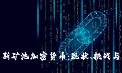 俄罗斯矿池加密货币：现状、挑战与机遇