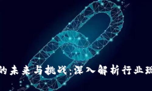 数字加密货币的未来与挑战：深入解析行业现状与发展趋势
